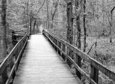 _DSC6112.jpg