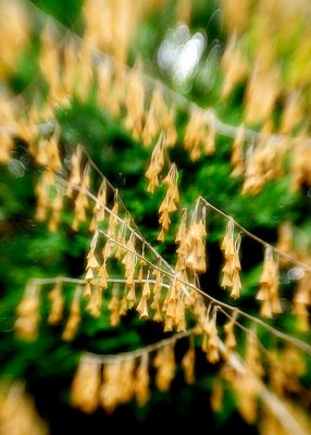 _DSC6163.jpg
