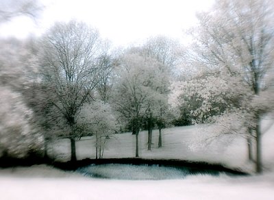 DSC_1629.jpg