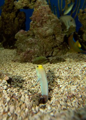 _DSC3245.jpg