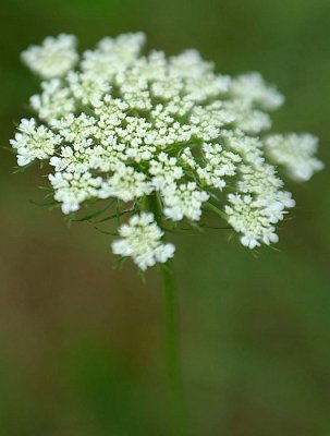 _DSC8400.jpg