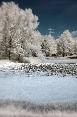 Infrared Shots with 3G Lensbaby...