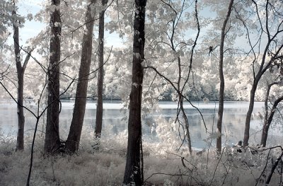 DSC_1803.jpg