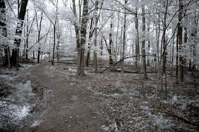 DSC_1813.jpg
