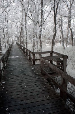 DSC_1823.jpg