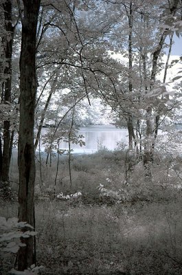 DSC_1825.jpg