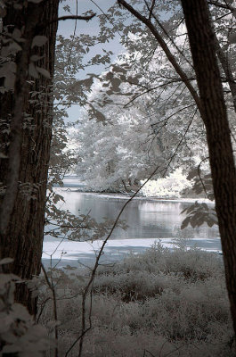 DSC_1829.jpg