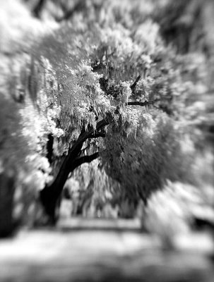 DSC_1879.jpg