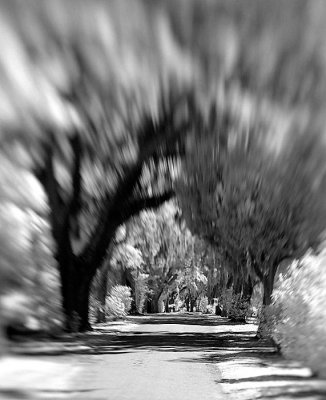 DSC_1881.jpg