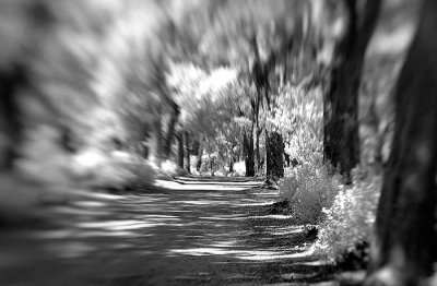 DSC_1884.jpg