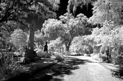 DSC_1914.jpg