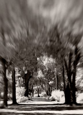 DSC_1952.jpg