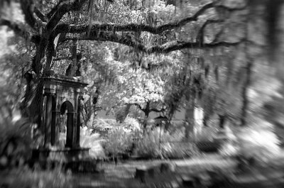 DSC_1965.jpg