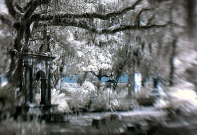 DSC_1966.jpg
