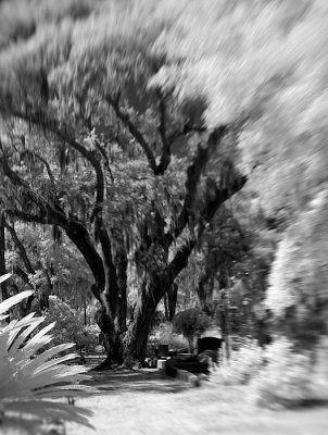 DSC_1969.jpg