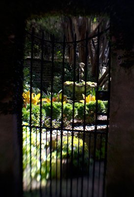 _DSC0101.jpg