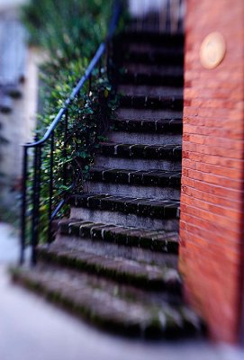 _DSC0130.jpg