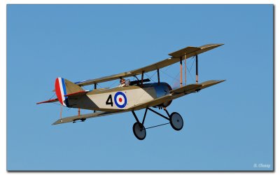 _PAS3764w.jpg