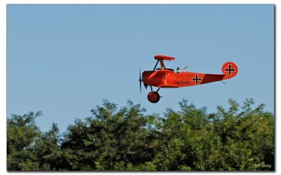 _PAS3779w.jpg