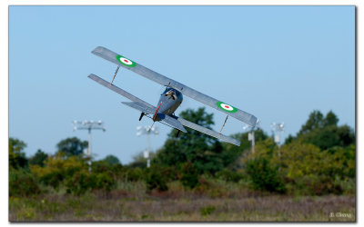 _PAS4012w.jpg
