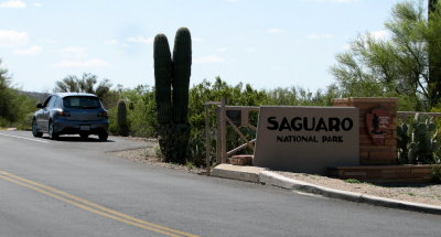 Saguaro National Park, (East) Rincon Mountain District