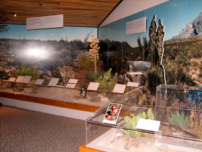Display inside visitor center