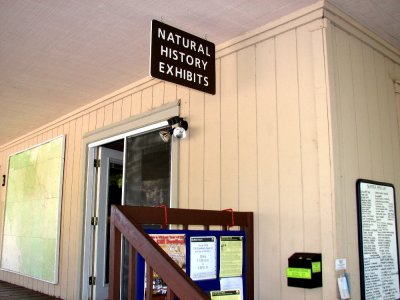 Natural History Exhibits