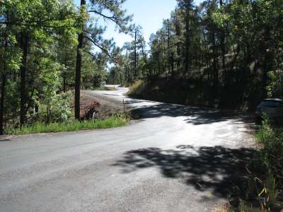 Twisty curvy road