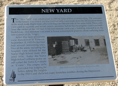 new yard.jpg