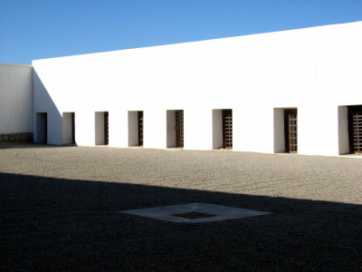 new yard 1.jpg