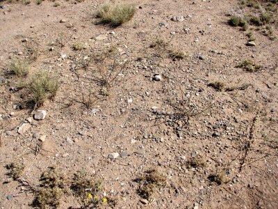 typical ground surface