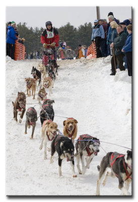 Laconia Seld Dog Races - 2007
