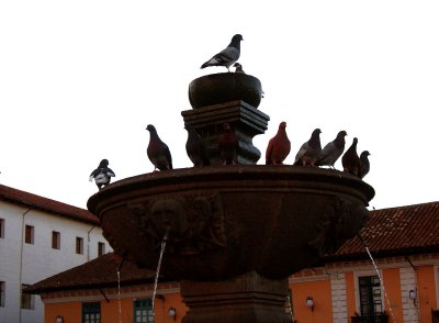 fuente y palomas centro historico Quito