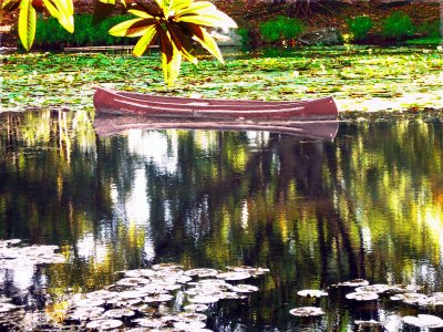 Jardin botanico Medellin
