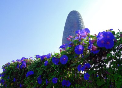Torre Agbar, Aguas De Barcelona