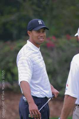 25479 - Tiger Woods