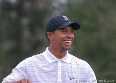 25496c - Tiger Woods