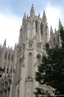 5336 - Washington National Cathedral