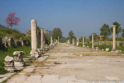 28104 - Road at Ephesus