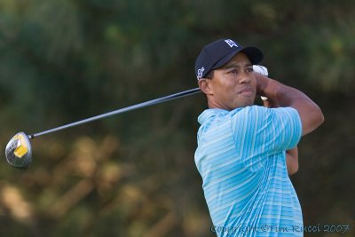 29311 - Tiger Woods