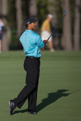 29326 - Tiger Woods