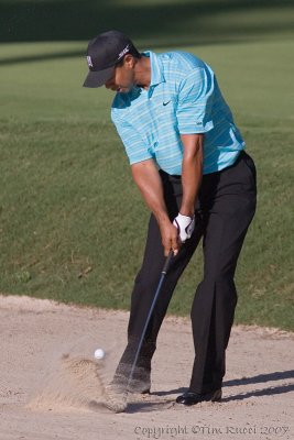 29417 - Tiger Woods