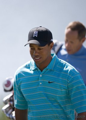 29716 - Tiger Woods
