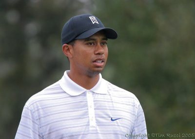 25494c - Tiger Woods