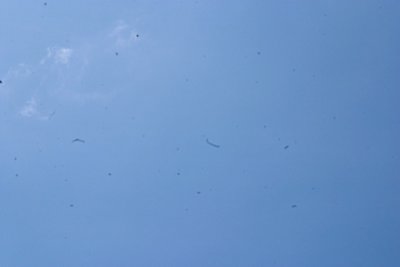10d before - July 8, 2007