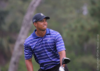 02512c - Tiger Woods