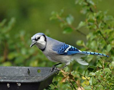 DSC_0760.jpg