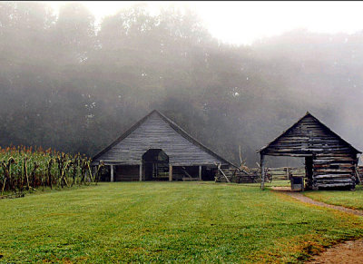 54487621_VacationSmokieMtsSept20 copy.jpg