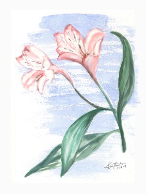 Watercolors July 2007