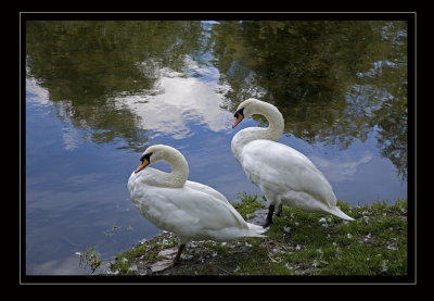 IMG_2743 X.jpg